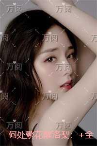 何处繁花醒洛梨:免费