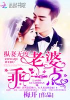 纵妻无度:老婆,乖一点!