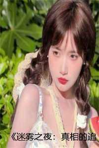 《迷雾之夜：真相的追寻》 篇