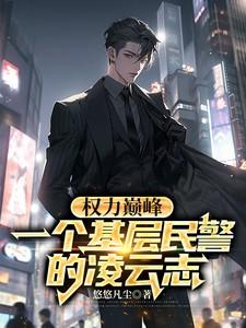 权力巅峰:一个基层民警的凌云志