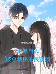 退婚当天,被总裁拐进民政局