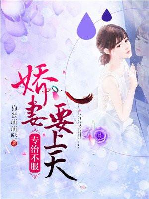 专治不服:娇妻要上天